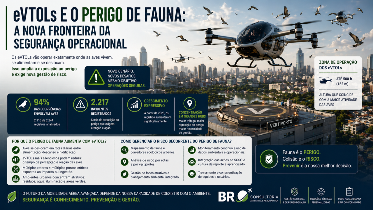 eVTOLs e o perigo de fauna: a nova fronteira da segurança operacional